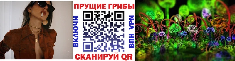 гидра онион  Россошь  Галлюциногенные грибы Cubensis 